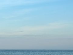 -广东惠东海龟国家级自然保护区