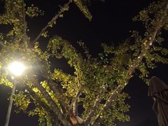 -岁粤Moon·湖景餐厅(月光码头店)