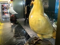 -琬苑鸽庄·川粤融合菜(解放碑总店)