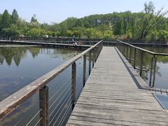 -昆山城市生态森林公园