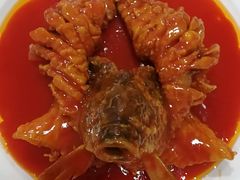 -卓正国际酒店·膳衡食府