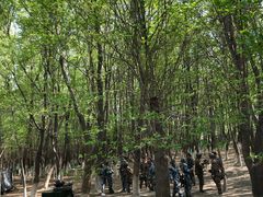 -亲兄弟真人CS团建拓展基地