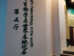 -辽宁古生物博物馆