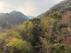 -天明山温泉大酒店