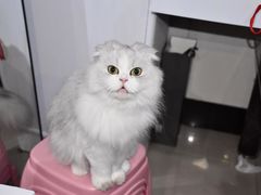 -宠颐生嘉德动物医院
