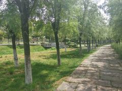 -艾溪湖湿地公园