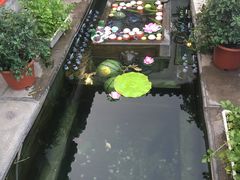 -张家大院·鲁菜·私房菜(芙蓉街店)