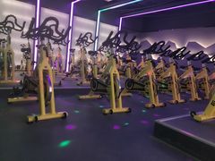 -金吉鸟健身游泳