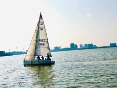 -南汇嘴观海公园