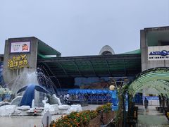 -合肥海洋世界