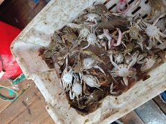 -大京沙滩