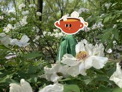 -洛阳市隋唐城遗址植物园