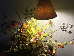 -荒度咖啡(北九水店)
