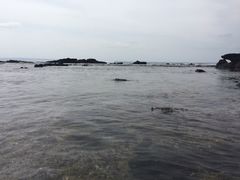 -企鹅岛