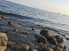 -泊石湾海滨浴场