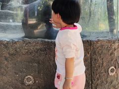 -南昌动物园