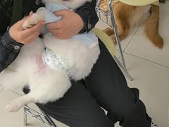 -怪兽屋·羊驼·猫咖·狗咖(俊华广场店)