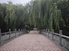 -日出青木