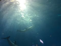 -华夏文旅西安度假区