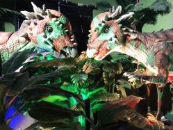 -恐龙探索乐园(磁器口店)