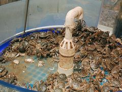 -藜爱·山海情海鲜自助(万达广场店)