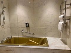 -内格雷斯科酒店