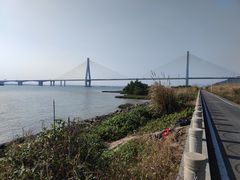 -芒洲湿地公园