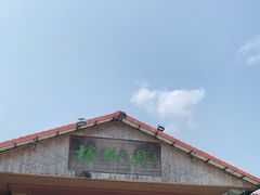 -兴隆槟榔园休闲农庄