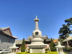 -天津大悲禅院