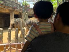 -长鹿旅游休博园