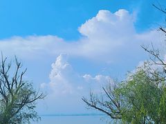 -捞渔河湿地公园