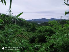 -东部华侨城