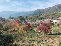 -塔川景区