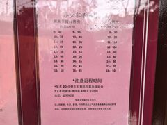 -合肥滨湖国家森林公园