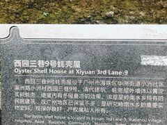 -小洲村