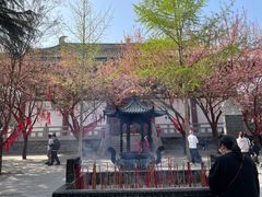 -西安青龙寺遗址景区