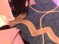 -广州富力丽思卡尔顿酒店