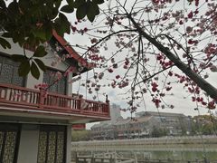 -南通博物苑-崇川人民公园