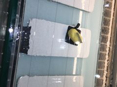 -西檬树SIMON·T轻奢蛋糕(大东方Max店)