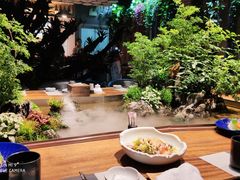 -森味薪火烧•烧鸟居酒屋•日本料理(望京店)