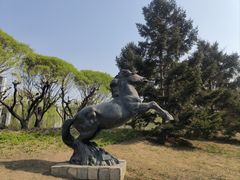 -元大都城垣遗址公园