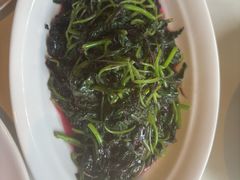-芙蓉堂(武汉天地店)