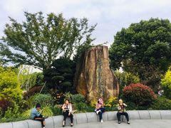 -昆山城市生态森林公园