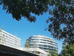 -首都医科大学宣武医院