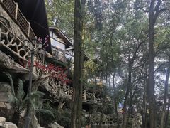 -巴倒烫陆派重庆火锅(南山店)