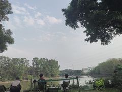 -海珠湖公园