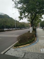 -WD专业烫染设计