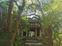-溪口-滕头旅游景区