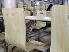 大堂-东华大学第一食堂(松江校区店)