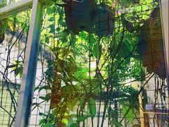 -拾壹cafe·工作室